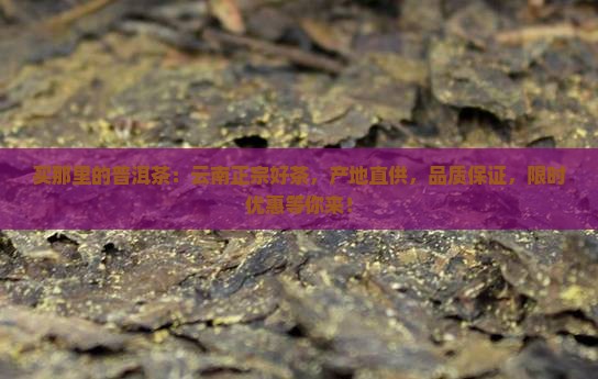 买那里的普洱茶