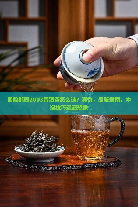 国韵郡园2003普洱茶