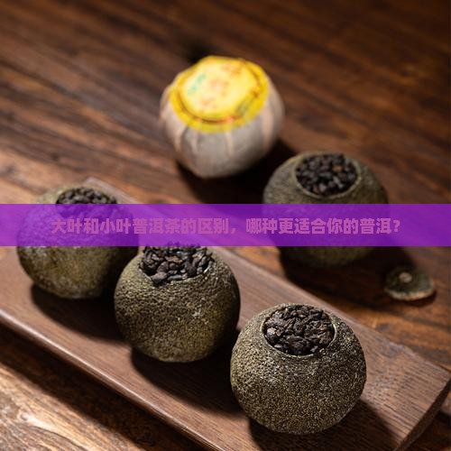 普洱茶大小叶怎么样