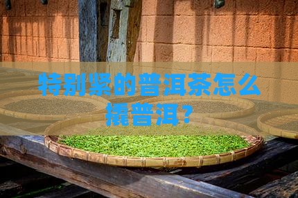特别紧的普洱茶要怎么撬