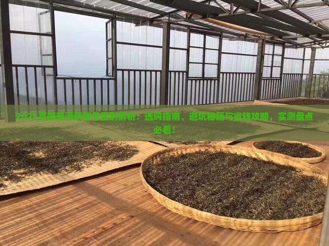 高端普洱茶型号区别