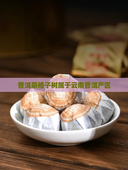 楂子树普洱茶属于哪个产区