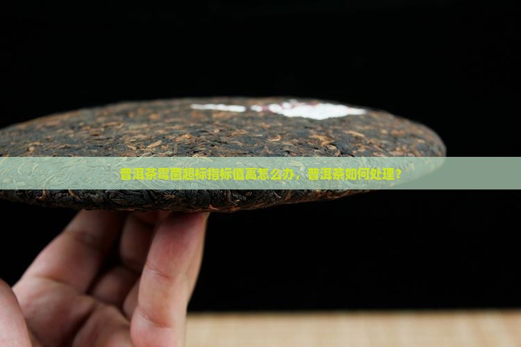 普洱茶微生物指标值高怎么办