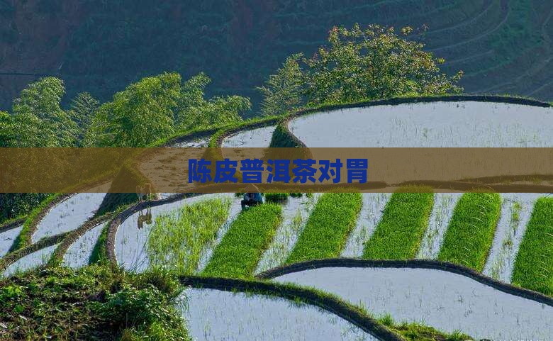 陈皮普洱茶对胃