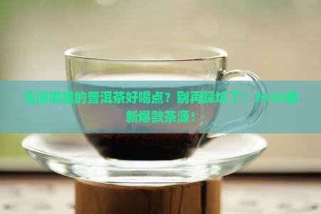 玉溪哪里的普洱茶好喝点