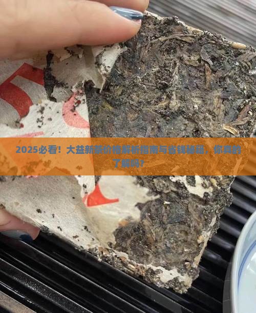 2019年大益新茶价格