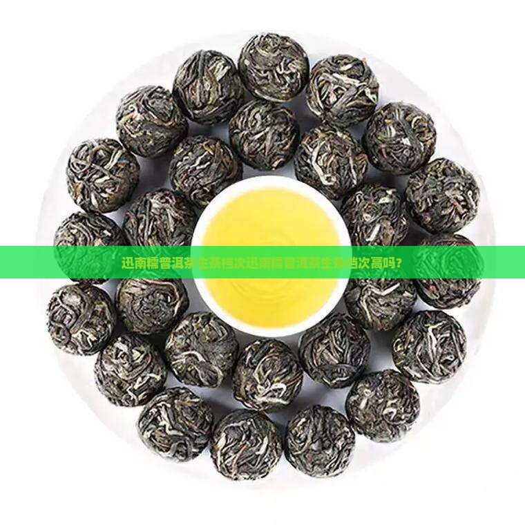 迅南糯普洱茶生茶档次