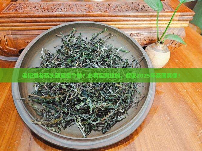 老班章老茶头是什么茶
