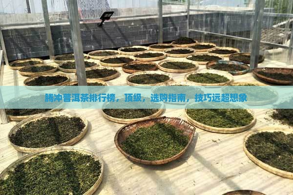 腾冲普洱茶品牌排行榜