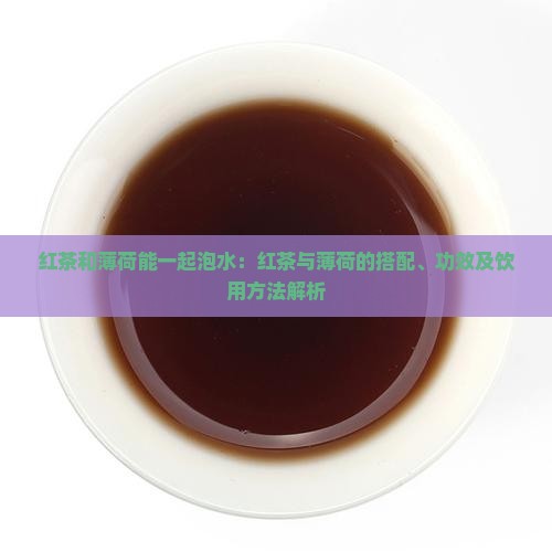 红茶和薄荷能一起泡水