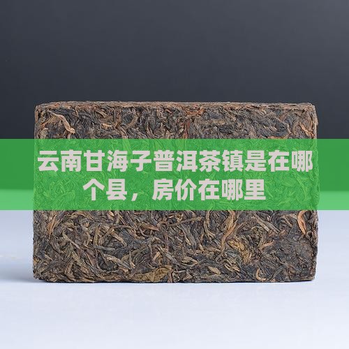 云南甘海子普洱茶