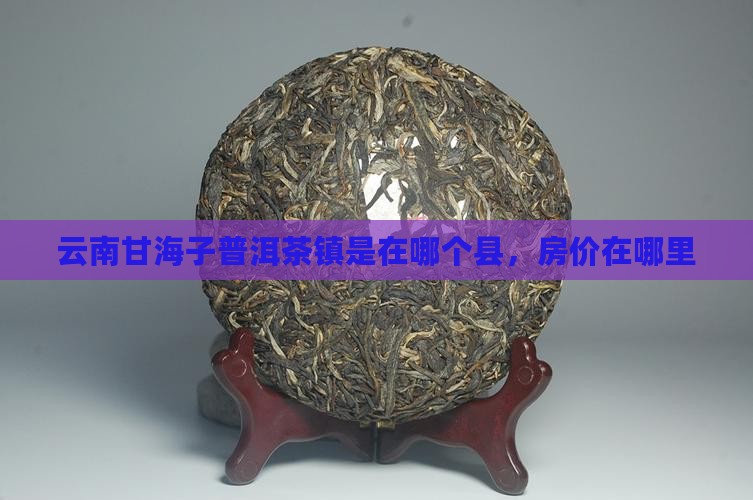 云南甘海子普洱茶