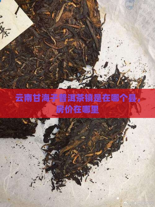 云南甘海子普洱茶