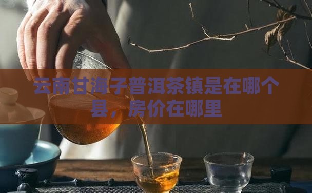 云南甘海子普洱茶