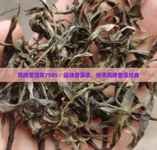 凤牌普洱茶7585