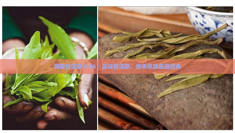 凤牌普洱茶7585