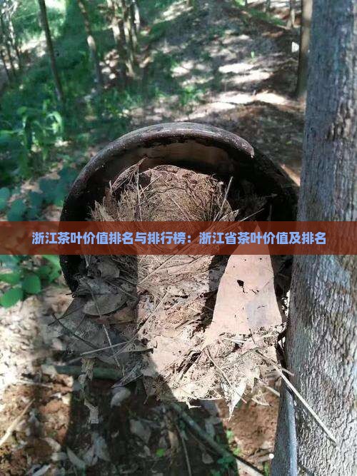 浙江茶叶品牌价值