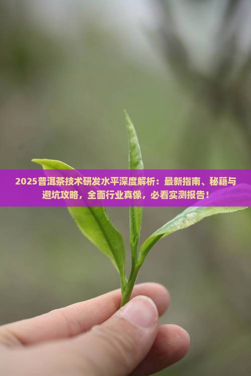 普洱茶的技术研发水平