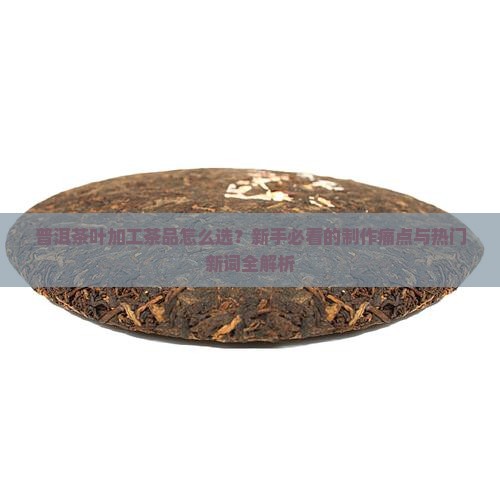 普洱茶叶加工茶品