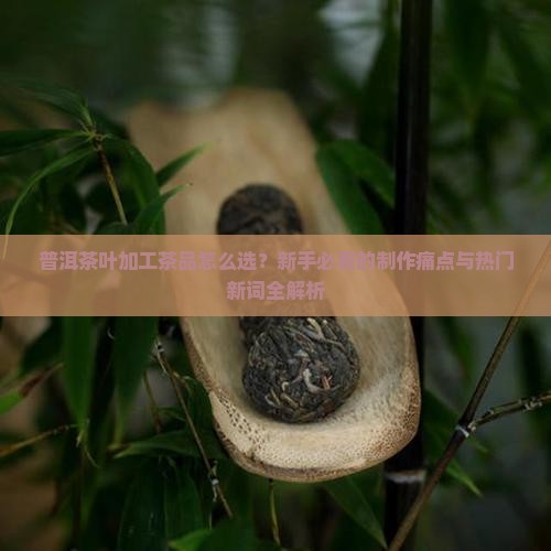 普洱茶叶加工茶品