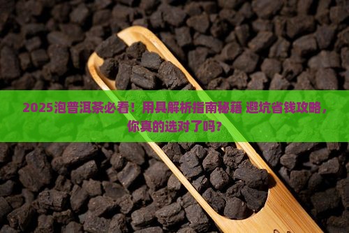 泡普洱茶的用具