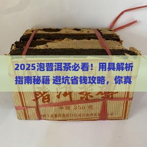泡普洱茶的用具