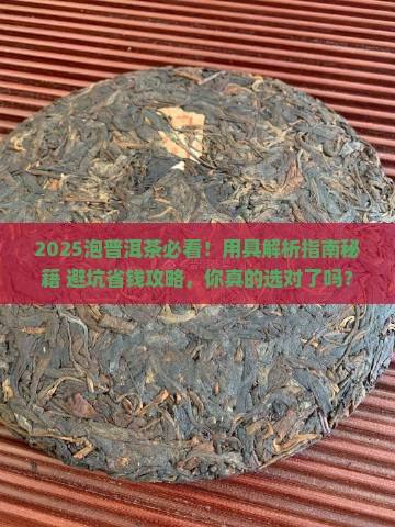 泡普洱茶的用具