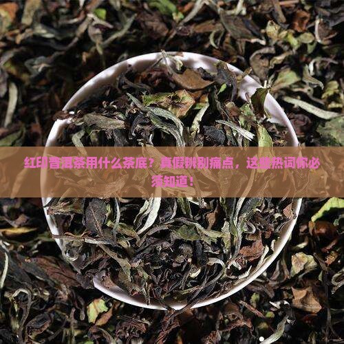 红印普洱茶用什么茶底