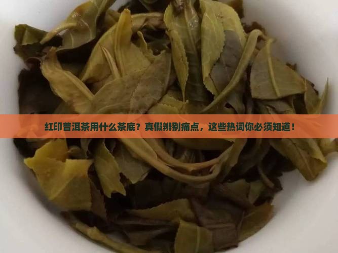 红印普洱茶用什么茶底