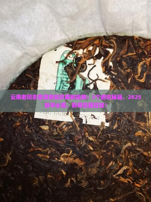 云南老同志普洱茶知识