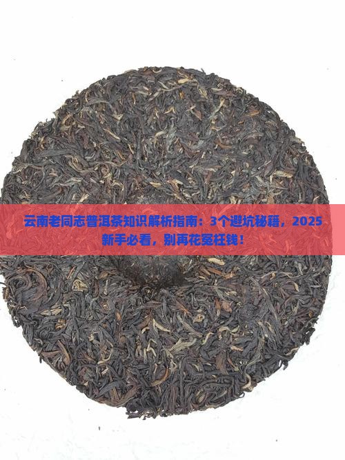 云南老同志普洱茶知识