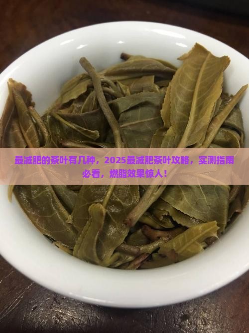 最减肥的茶叶有几种