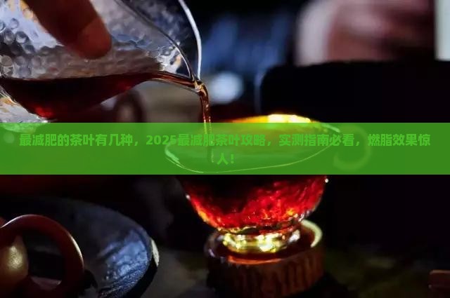 最减肥的茶叶有几种