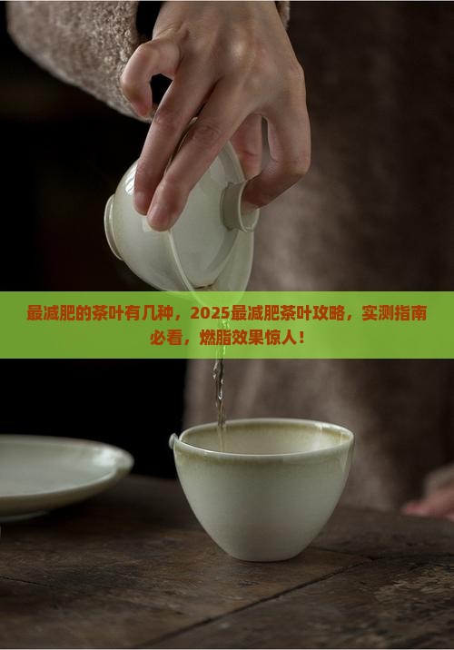 最减肥的茶叶有几种