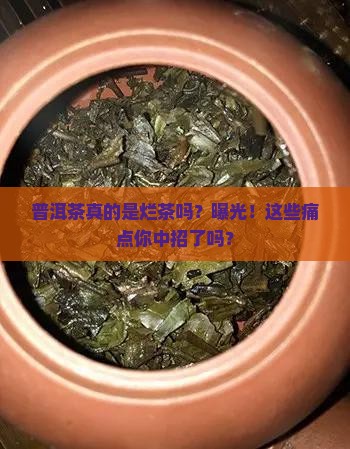 普洱茶真的是烂茶吗
