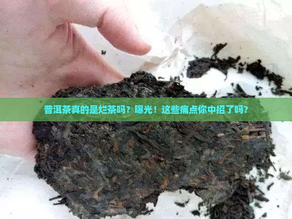 普洱茶真的是烂茶吗