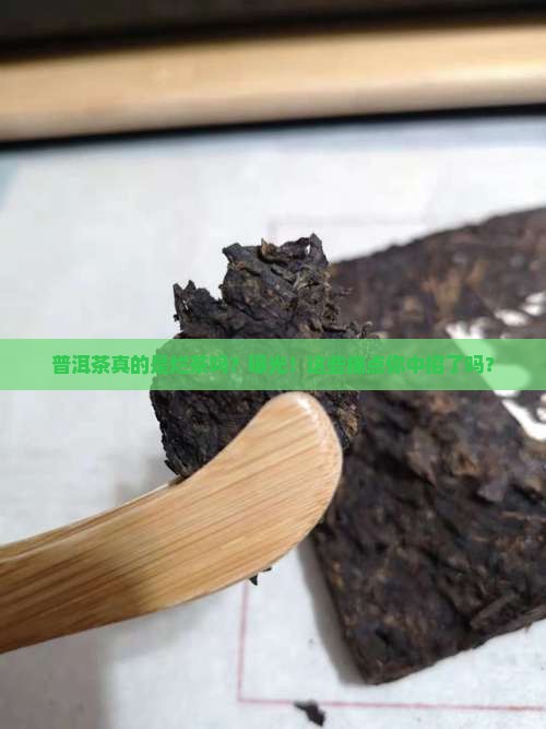 普洱茶真的是烂茶吗