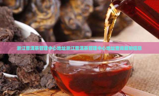 浙江普洱茶管理中心地址