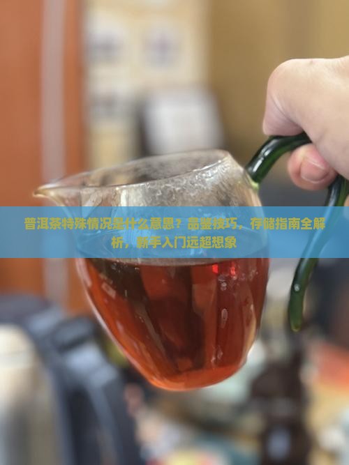 普洱茶特殊情况是什么意思