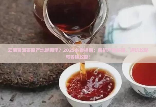云南普洱茶原产地在哪里