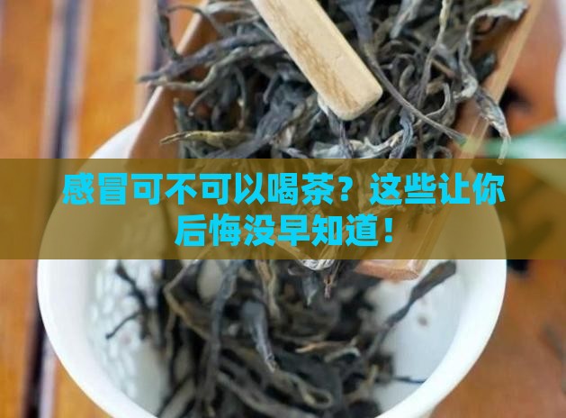 感冒可不可以喝茶