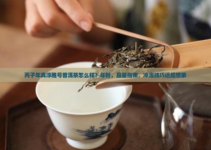 丙子年真淳雅号普洱茶
