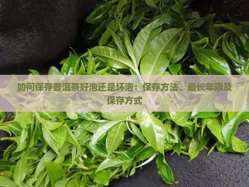 如何保存普洱茶好泡还是坏泡