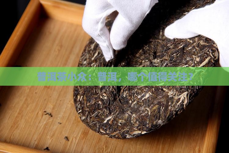 普洱茶小众化品牌
