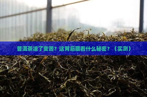 普洱茶冷了以后很苦正常吗