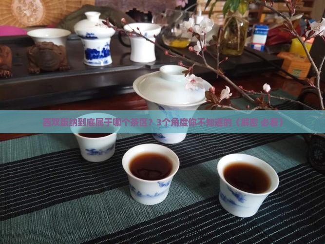 西双版纳属于哪个茶区