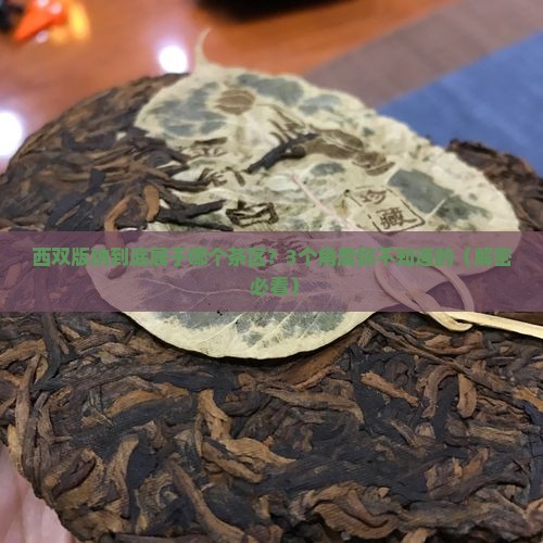 西双版纳属于哪个茶区