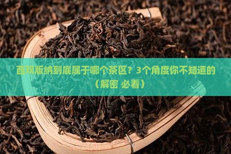 西双版纳属于哪个茶区