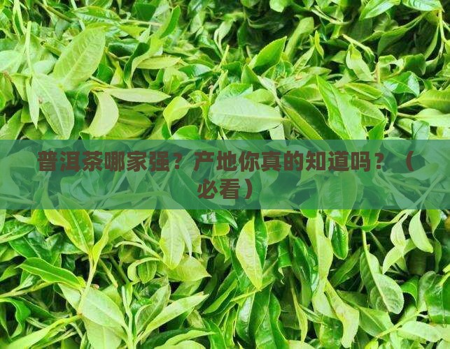 普洱茶知名品牌产地