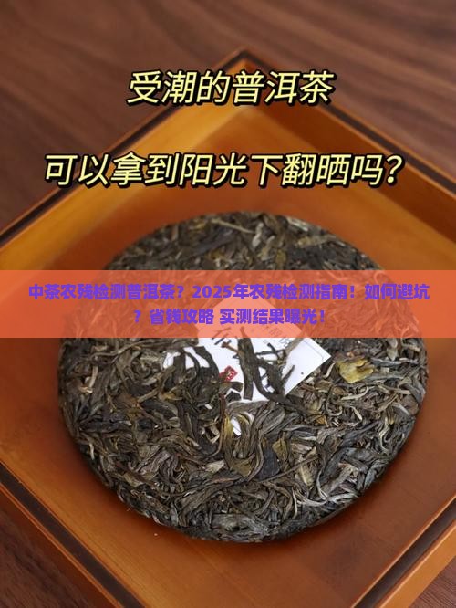 中茶农残检测普洱茶